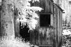 USA-Colorado-Old Mining Shack Art Print